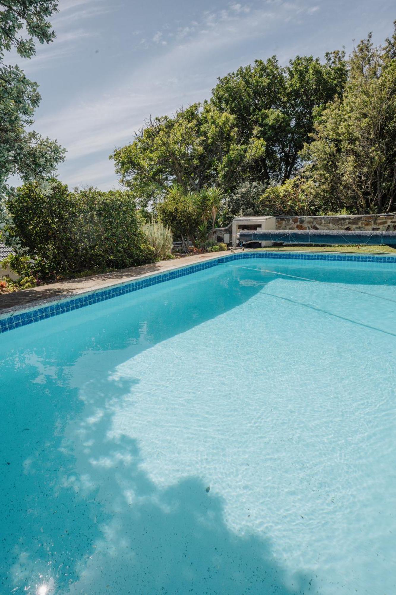 Echo Friendly Sunny Contemporary Garden Flat Apartment Cape Town Luaran gambar